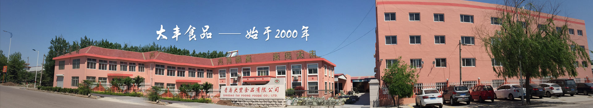 大丰食品，始于2000年